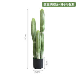 Nordic simulated cactus measuring ruler potted cactus column fake green plant tropical plant window living room decoration ornaments Nordic simulated cactus measuring ruler potted cactus column fake green plant tropical plant window living room decoration ornaments