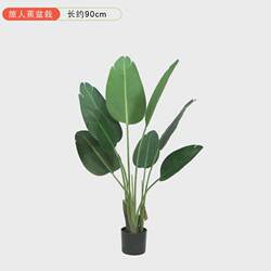 Simulated plant potted plant Nordic large travel canna fake green plant potted plant artificial monstera plastic turtle back tree bonsai Simulated plant potted plant Nordic large travel canna fake green plant potted plant artificial monstera plastic turtle back tree bonsai