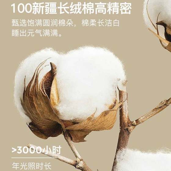 Simple style Class A 100 long-staple cotton jacquard four-piece set of pure cotton naked sleeping sheets, quilt cover, fitted sheet, bedding 
Simple style Class A 100 long-staple cotton jacquard four-piece set of pure cotton naked sleeping sheets, quilt cover, fitted sheet, bedding