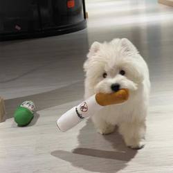 Dog Toy with Sound, Plush Cigarette, Bite-Resistant, Teeth-Cleaning, Self-Entertainment for Small and Medium-Sized Dogs, Pet Interactive Supplies Dog Toy with Sound, Plush Cigarette, Bite-Resistant, Teeth-Cleaning, Self-Entertainment for Small and Medium-Sized Dogs, Pet Interactive Supplies