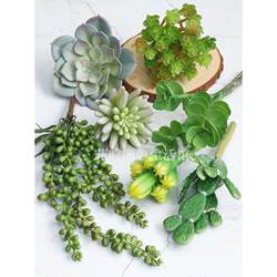 Simulate succulents, cacti, various artificial flowers, indoor landscaping, home decoration and home Simulate succulents, cacti, various artificial flowers, indoor landscaping, home decoration and home