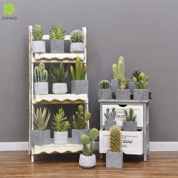 Home furnishings, simulated succulents, small potted plants, artificial green plants, potted cactus, decorative bonsai cactus Home furnishings, simulated succulents, small potted plants, artificial green plants, potted cactus, decorative bonsai cactus