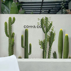 Artificial Fake Cactus Green Plant Potted Plant Decorative Flower Groove Ornaments Photo Wall Minimalist Background Desert Plant Bonsai Artificial Fake Cactus Green Plant Potted Plant Decorative Flower Groove Ornaments Photo Wall Minimalist Background Desert Plant Bonsai