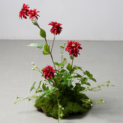 Artificial Flowers, Faux Flowers, Decorative Moss, Micro-Landscape Floral Arrangements, Green Plants, Photography Props, Bouquets, Decorative Pieces, Landscaping, Flower Arrangement Artificial Flowers, Faux Flowers, Decorative Moss, Micro-Landscape Floral Arrangements, Green Plants, Photography Props, Bouquets, Decorative Pieces, Landscaping, Flower Arrangement