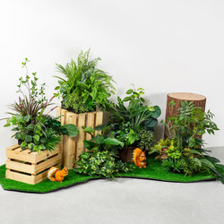 Fake Green Plants for Decoration, Simulated Indoor Window Display Plants, Landscaping, Beautiful Displays for Shopping Malls, Clothing Stores, Exhibition Areas, Fake Flower and Plant Ornaments Fake Green Plants for Decoration, Simulated Indoor Window Display Plants, Landscaping, Beautiful Displays for Shopping Malls, Clothing Stores, Exhibition Areas, Fake Flower and Plant Ornaments