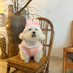 New Chinese style warm furry cotton jacket pet clothes for dogs New Chinese style warm furry cotton jacket pet clothes for dogs