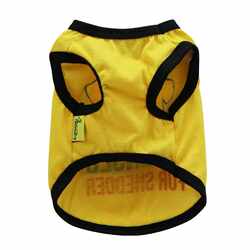New direct selling pet supplies dog and cat clothing Bichon Frize small dog puppy thin style light breathable spring New direct selling pet supplies dog and cat clothing Bichon Frize small dog puppy thin style light breathable spring