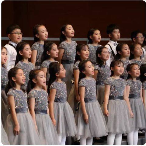 Children's chorus performance costumes for primary and secondary school students' gaunt skirt piano competition choir dress poetry recitation performance costumes
Children's chorus performance costumes for primary and secondary school students' gaunt skirt piano competition choir dress poetry recitation performance costumes