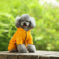 Dog clothes, warm cotton clothes, Teddy Pomeranian small dog waterproof four-legged clothes, pet winter clothing, British style Dog clothes, warm cotton clothes, Teddy Pomeranian small dog waterproof four-legged clothes, pet winter clothing, British style