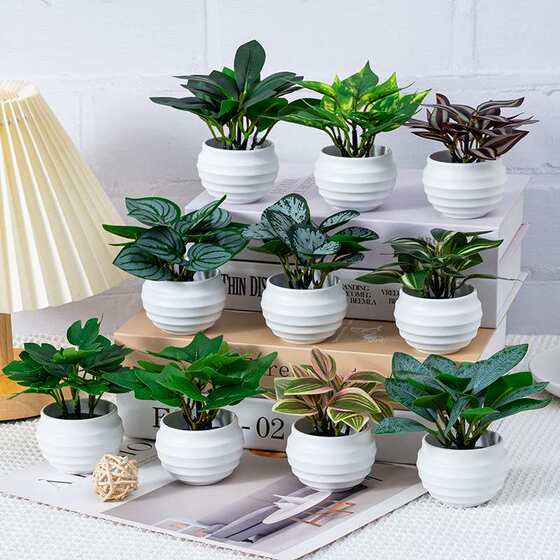 Simulated green plants mini bonsai fake flowers office desktop small potted plants living room decoration simulated flower art home decoration
Simulated green plants mini bonsai fake flowers office desktop small potted plants living room decoration simulated flower art home decoration