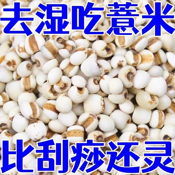Authentic coix seed kernel new high-quality rice kernel Guizhou Xingren big coix seed commercial bulk soy milk grains
Authentic coix seed kernel new high-quality rice kernel Guizhou Xingren big coix seed commercial bulk soy milk grains