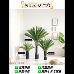 Manufacturer simulated plant cycad potted plants indoor landscaping decoration green plants bonsai simulated artificial fake iron trees Manufacturer simulated plant cycad potted plants indoor landscaping decoration green plants bonsai simulated artificial fake iron trees
