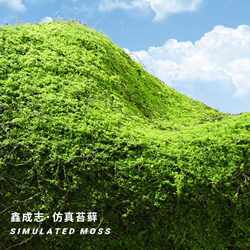 Simulated moss, moss, simulated lawn plants, artificial green moss decoration, window landscaping, fake immortal moss turf Simulated moss, moss, simulated lawn plants, artificial green moss decoration, window landscaping, fake immortal moss turf