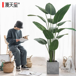 2025 Artificial Green Plant Traveler's Banana Fake Plant Bionic Bird of Paradise High-End Light Luxury Indoor Potted Plant Living Room Decoration Tree 2025 Artificial Green Plant Traveler's Banana Fake Plant Bionic Bird of Paradise High-End Light Luxury Indoor Potted Plant Living Room Decoration Tree