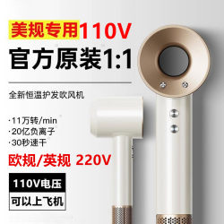 Us Standard 110V Hair Dryer Huaqiangbei Negative Ion Hair Care High Wind Power Hair Dryer Uk/Eu Standard 220V Hong Kong/Taiwan Us Standard 110V Hair Dryer Huaqiangbei Negative Ion Hair Care High Wind Power Hair Dryer Uk/Eu Standard 220V Hong Kong/Taiwan