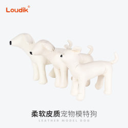 Manufacturer ready stock dog model clothing display pet model props photo small and medium-sized dogs Manufacturer ready stock dog model clothing display pet model props photo small and medium-sized dogs