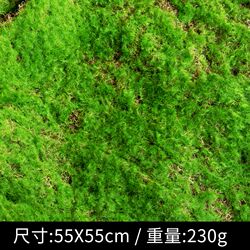 Simulated green plants moss moss block lawn micro landscape artificial turf decoration fake plant window balcony construction Simulated green plants moss moss block lawn micro landscape artificial turf decoration fake plant window balcony construction