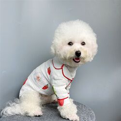 Teddy dog clothing pattern Bichon pet dog clothing drawing Bulldog Labrador pajamas home clothing pattern Teddy dog clothing pattern Bichon pet dog clothing drawing Bulldog Labrador pajamas home clothing pattern