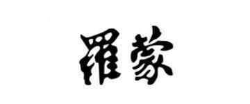 Romon/罗蒙商务职业衬衫2019新款男士纯色工装时尚中青年长袖衬衣 Romon/罗蒙商务职业衬衫2019新款男士纯色工装时尚中青年长袖衬衣