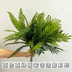Simulated Plant Series: Draping Wave Grass, Simulated Ecological Wave Grass, Fern Plants, Indoor Greening and Landscape Layout Simulated Plant Series: Draping Wave Grass, Simulated Ecological Wave Grass, Fern Plants, Indoor Greening and Landscape Layout