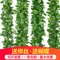 Artificial Grape Leaves, Fake Flower Vines, Vine Plants, Leaves, Green Leaves, Water Pipe Ceiling Decoration, Plastic Pothos Leaves Artificial Grape Leaves, Fake Flower Vines, Vine Plants, Leaves, Green Leaves, Water Pipe Ceiling Decoration, Plastic Pothos Leaves