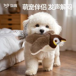 Dog Toy That Makes Sounds and Shakes, a Self-Entertaining Gadget to Relieve Boredom, Suitable for Small Dogs Like Poodles, Teddy Dogs, and Bichons, Bite-Resistant Pet Supplies Dog Toy That Makes Sounds and Shakes, a Self-Entertaining Gadget to Relieve Boredom, Suitable for Small Dogs Like Poodles, Teddy Dogs, and Bichons, Bite-Resistant Pet Supplies