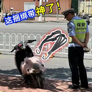 Electric vehicle bundling strap elastic rope motorcycle trunk strap helmet fixing artifact tied luggage rope magic glue Electric vehicle bundling strap elastic rope motorcycle trunk strap helmet fixing artifact tied luggage rope magic glue