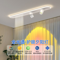 Balcony Light, High-End Atmosphere Light, Long Strip Spotlight, Surface-Mounted Sunset Light, Corridor, Entrance Hall, Led Ceiling Light Balcony Light, High-End Atmosphere Light, Long Strip Spotlight, Surface-Mounted Sunset Light, Corridor, Entrance Hall, Led Ceiling Light