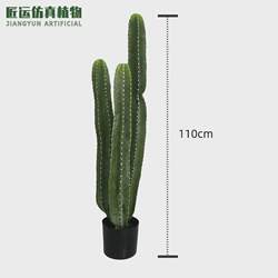 Simulated cactus, cactus, potted plants, shopping mall, artificial cactus, cactus, large landscaping, simulated green plants Simulated cactus, cactus, potted plants, shopping mall, artificial cactus, cactus, large landscaping, simulated green plants