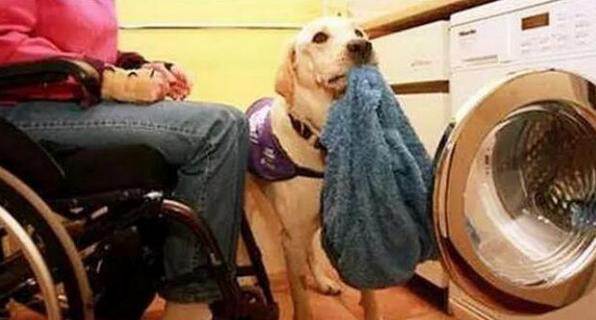 ��ë��������չ�Ů����������������� ͼ4