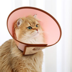 Resistant lion Elizabeth collar, anti-licking, scratching and biting collar, cat and dog sterilization and deworming color headgear and scarf Resistant lion Elizabeth collar, anti-licking, scratching and biting collar, cat and dog sterilization and deworming color headgear and scarf