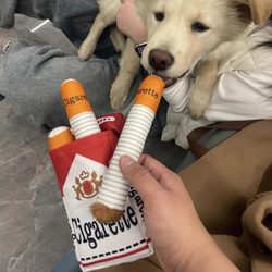 Pet Dog Sound Toy, Realistic Plush Cigarette Box, Teething Chew, Hide-And-Sniff Treat, Teddy, French Bulldog, Golden Retriever Pet Dog Sound Toy, Realistic Plush Cigarette Box, Teething Chew, Hide-And-Sniff Treat, Teddy, French Bulldog, Golden Retriever