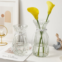 Minimalist small fresh glass vase transparent hydroponic plant flowers dried flower arrangement living room decoration For Home Minimalist small fresh glass vase transparent hydroponic plant flowers dried flower arrangement living room decoration For Home