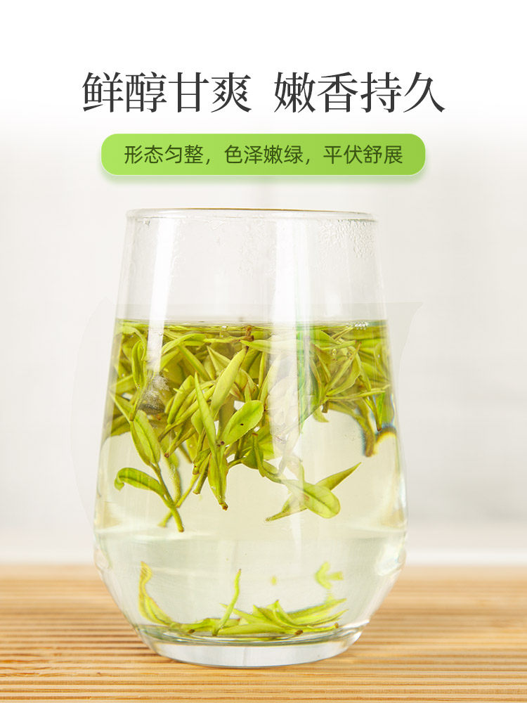 2023新茶安吉白茶官方旗舰店明前精品春茶50g官方店特产高山绿茶