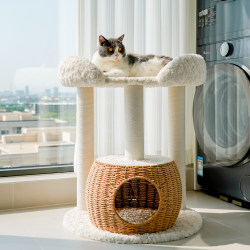 Original Japanese-Style Cat Household Small Apartment Does Not Occupy an Area Rattan Cat Nest Cat Tree Integrated Winter Warm Supplies Cat Climbing Frame Original Japanese-Style Cat Household Small Apartment Does Not Occupy an Area Rattan Cat Nest Cat Tree Integrated Winter Warm Supplies Cat Climbing Frame