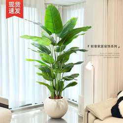 Bird of Paradise Artificial Green Plant, High-End Light Luxury Living Room Large Indoor Potted Plant Decoration, Traveler's Banana Decorative Tree, Fake Plant Bird of Paradise Artificial Green Plant, High-End Light Luxury Living Room Large Indoor Potted Plant Decoration, Traveler's Banana Decorative Tree, Fake Plant