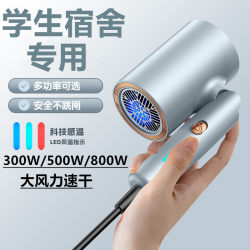 German Hair Dryer with Negative Ions for Hair Care, Silent, 500W for Dormitory Use, 300W Low Power for Students, 800W Special Barrel German Hair Dryer with Negative Ions for Hair Care, Silent, 500W for Dormitory Use, 300W Low Power for Students, 800W Special Barrel