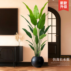 Artificial Green Plant Calla Lily Indoor High-End Potted Decorative Ornament Living Room Artificial Plant Floor-Standing Fake Tree Artificial Green Plant Calla Lily Indoor High-End Potted Decorative Ornament Living Room Artificial Plant Floor-Standing Fake Tree
