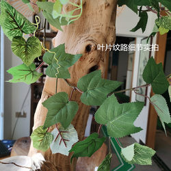 Artificial Grape Leaves, Vines, Green Leaf Plants, Fake Flower Vines, Leaves, Ceiling Pipe Decoration, Plastic Flowers, Wall Greenery Artificial Grape Leaves, Vines, Green Leaf Plants, Fake Flower Vines, Leaves, Ceiling Pipe Decoration, Plastic Flowers, Wall Greenery