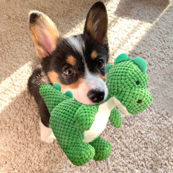 Dog Toy Companion for Boredom Relief, Dinosaur Sound, Bite-Resistant, Teddy, Bichon, Small Dog Supplies, Puppy Teething, Energy Consumption Dog Toy Companion for Boredom Relief, Dinosaur Sound, Bite-Resistant, Teddy, Bichon, Small Dog Supplies, Puppy Teething, Energy Consumption