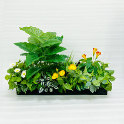 Simulated Flower Arrangements, Fake Plant Partitions, Green Plants, Landscaping Flower Troughs, Bionic Outdoor Flower Boxes, Green Radish Leaves, Decorative Grass Simulated Flower Arrangements, Fake Plant Partitions, Green Plants, Landscaping Flower Troughs, Bionic Outdoor Flower Boxes, Green Radish Leaves, Decorative Grass