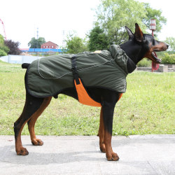 Doberman autumn and winter cotton coat Weimaraner dog Doberman autumn and winter cotton coat Weimaraner dog