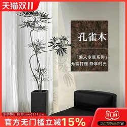 Peacock Wood Artificial Green Plant, High-End Light Luxury Living Room Bionic Fake Plant, Indoor Large Floor-Standing Potted Plant Decoration Ornament Peacock Wood Artificial Green Plant, High-End Light Luxury Living Room Bionic Fake Plant, Indoor Large Floor-Standing Potted Plant Decoration Ornament