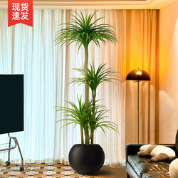 Simulated Green Plant Dracaena Fake Plant High-End Light Luxury Living Room Decorative Tree Indoor Large Potted Floor-Standing Ornament Simulated Green Plant Dracaena Fake Plant High-End Light Luxury Living Room Decorative Tree Indoor Large Potted Floor-Standing Ornament