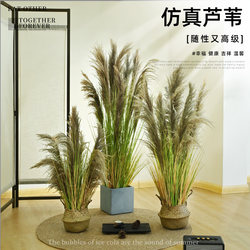 Reed Grass Artificial Flower Living Room Decoration Dried Flower Interior Decoration Furnishings Dog Tail Grass Floor-Standing Green Plant Landscaping Artificial Flower Reed Grass Artificial Flower Living Room Decoration Dried Flower Interior Decoration Furnishings Dog Tail Grass Floor-Standing Green Plant Landscaping Artificial Flower