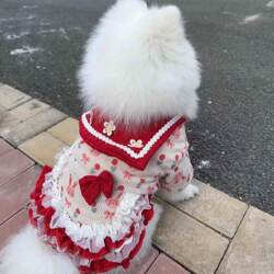 Pet Dog Clothes Bichon Frize Teddy Princess Style Red Dress Puff Skirt Yorkshire Puppy Pet Dog Clothes Bichon Frize Teddy Princess Style Red Dress Puff Skirt Yorkshire Puppy