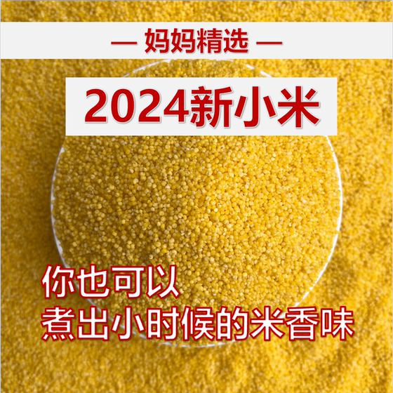Yellow millet 2025 new rice farm-grown non-polished bulk millet porridge healthy grains
Yellow millet 2025 new rice farm-grown non-polished bulk millet porridge healthy grains