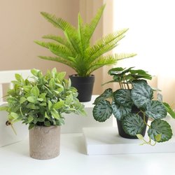 Artificial Plants and Flowers for Home and Hotel Decoration, Green Plants, Desktop Small Potted Plants, Indoor Fake Plant Bonsai Artificial Plants and Flowers for Home and Hotel Decoration, Green Plants, Desktop Small Potted Plants, Indoor Fake Plant Bonsai
