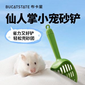 Hammer urine sand shovel, gold silk bear cleaning bath sand bath room urine sand shovel toilet dedicated urine shit shovel shovel hamster supplies
 Hammer urine sand shovel, gold silk bear cleaning bath sand bath room urine sand shovel toilet dedicated urine shit shovel shovel hamster supplies