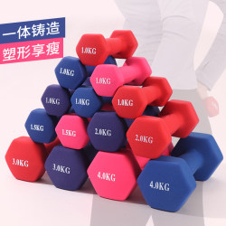 Single Dumbbell Women's Fitness For Home Neutral kids Arm Yoga Small Dumbbell Dip Solid Cast Iron Equipment Single Dumbbell Women's Fitness For Home Neutral kids Arm Yoga Small Dumbbell Dip Solid Cast Iron Equipment